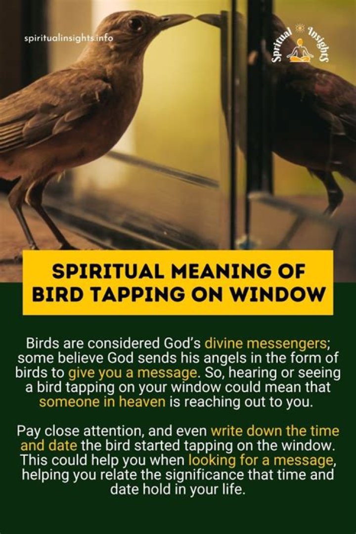 Why does a bird keep tapping on my window