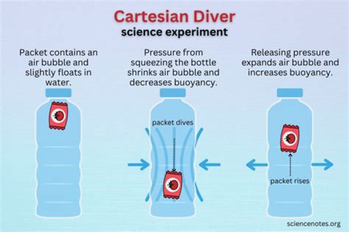 Why does a Cartesian diver sink when you squeeze it