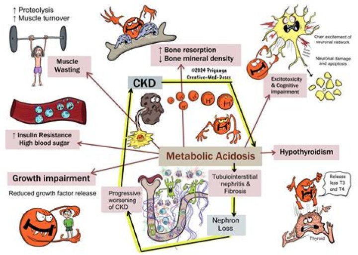 Why does kidney disease cause metabolic acidosis