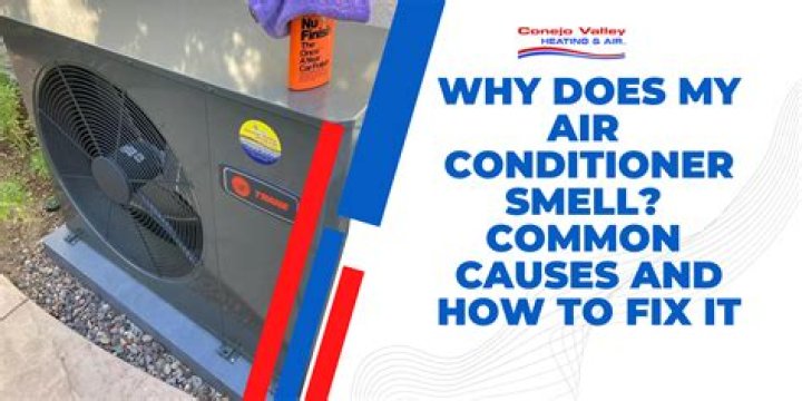 Why does my air conditioner have mold