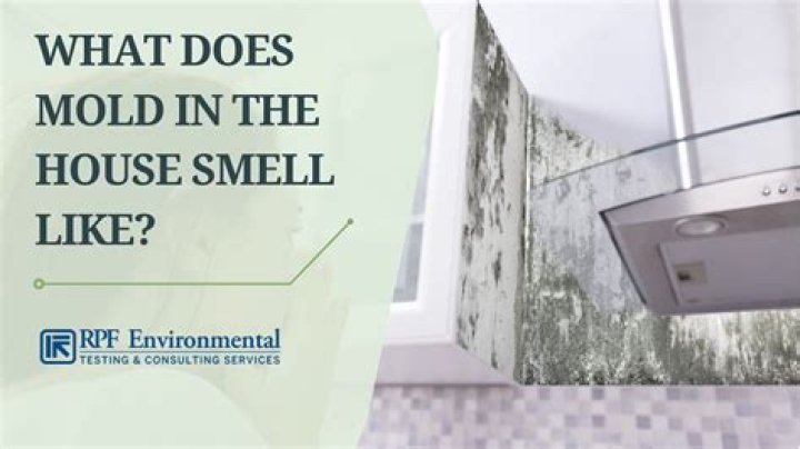 Why does my house smell like Sulphur
