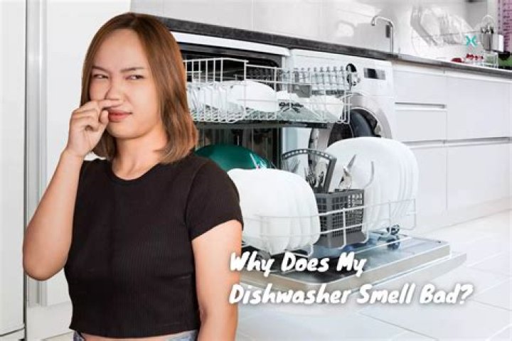Why does my Maytag dishwasher stink