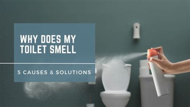 Why does my toilet smell like sulfur