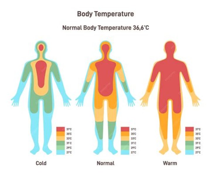 Why does skin temperature decrease during exercise