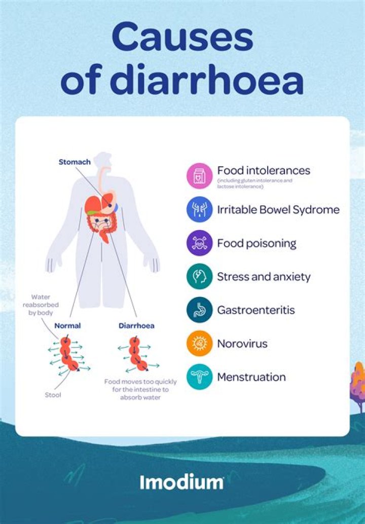 Why does zinc cause Diarrhoea