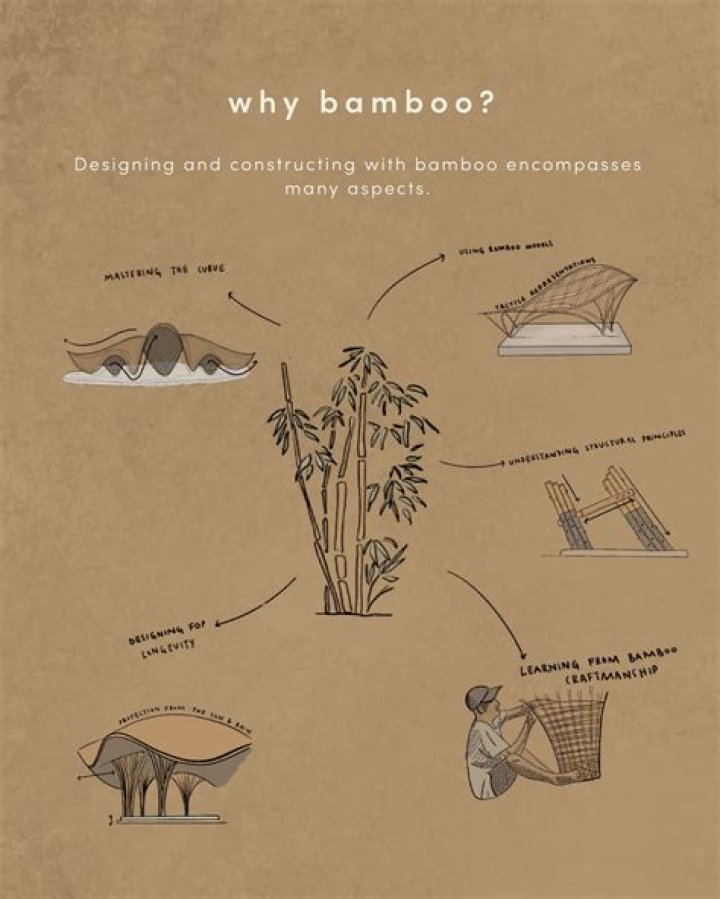 Why is bamboo so important to the Chinese