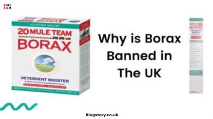 Why is borax banned in UK