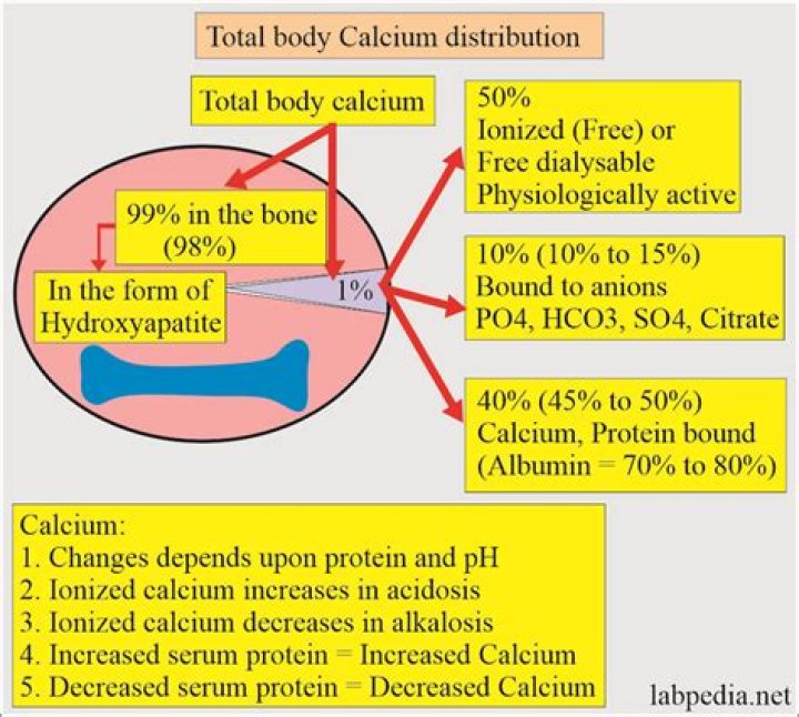 Why is calcium in blood important
