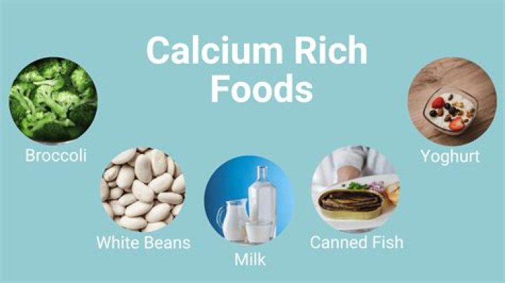 Why is canned fish a good source of calcium