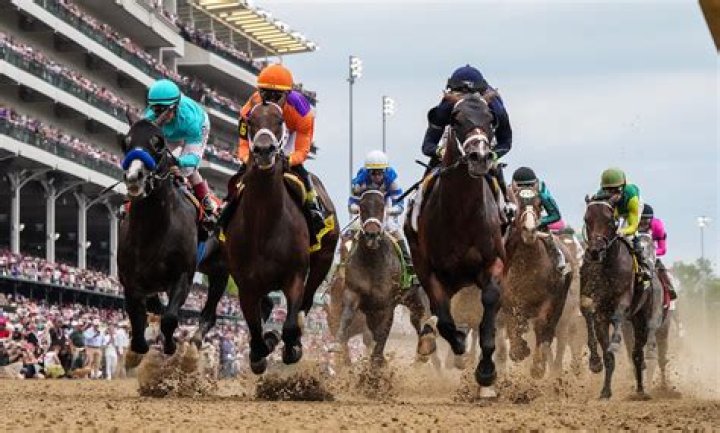 Why is horse racing so important