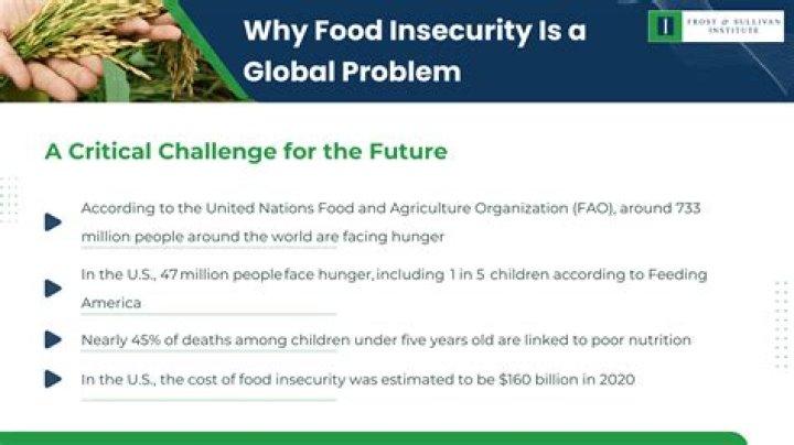 Why is hunger and food insecurity a problem