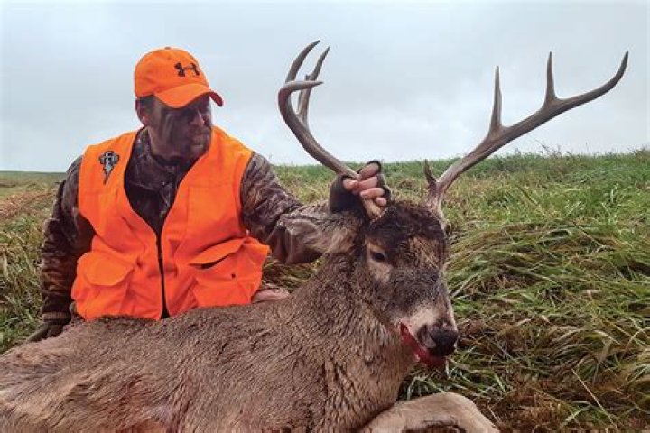 Why is hunting a problem