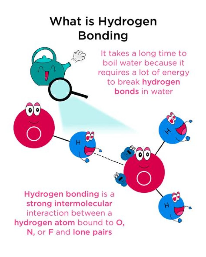 Why is hydrogen bond not a chemical bond