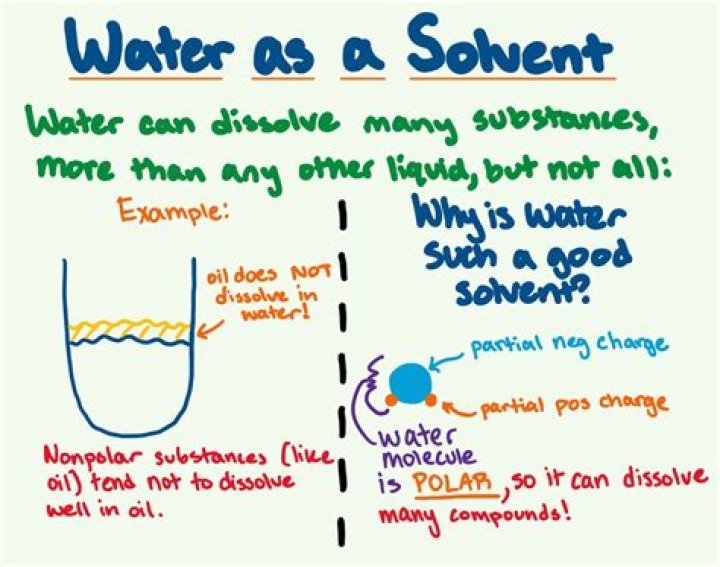Why is it important that water is a solvent