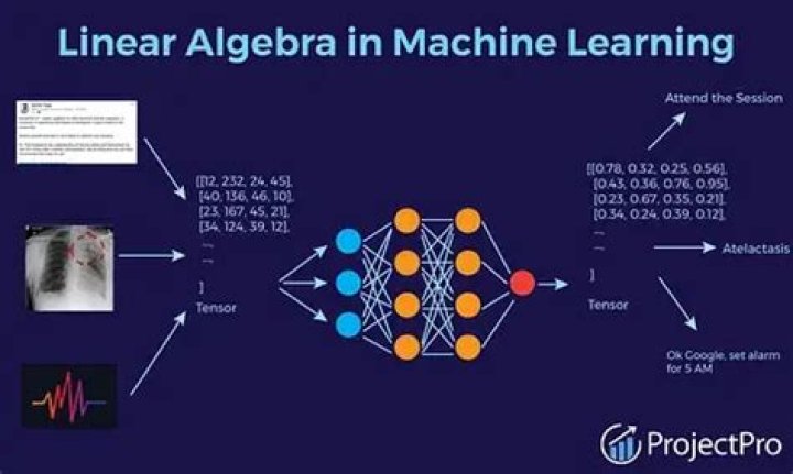 Why is linear algebra used in machine learning