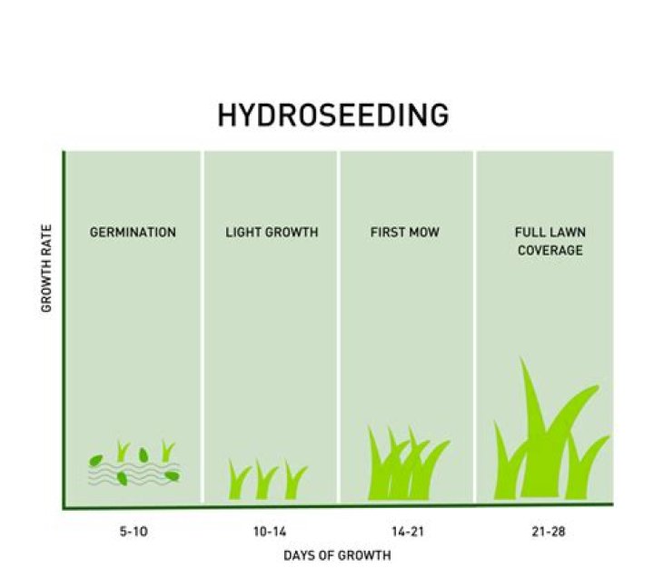 Why is my Hydroseed not growing