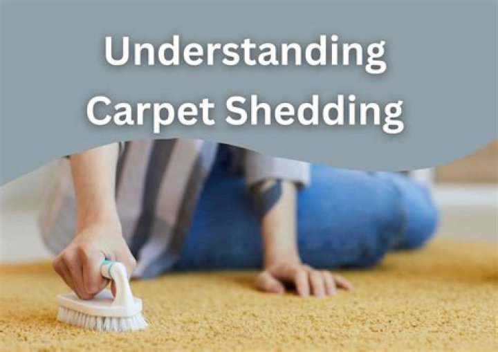 Why is my new carpet shedding
