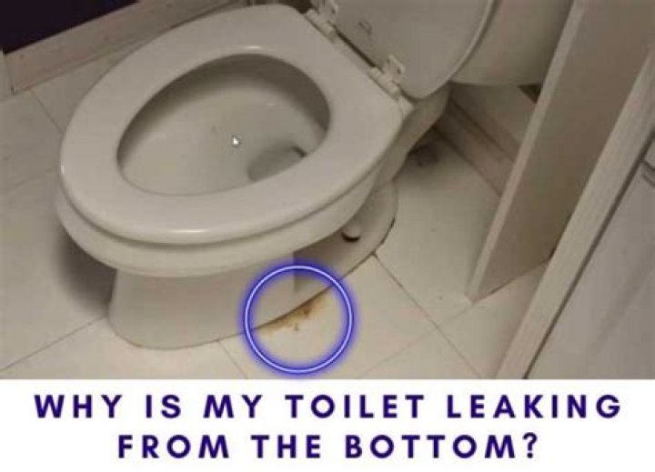 Why is my toilet leaking