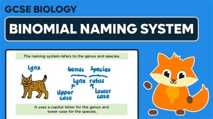 Why is our naming system for organisms referred to as binomial nomenclature