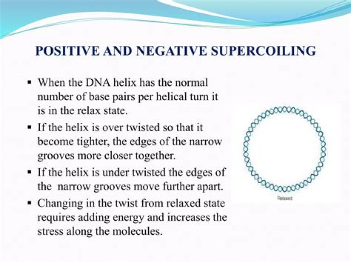 Why is positive Supercoiling called Overwinding