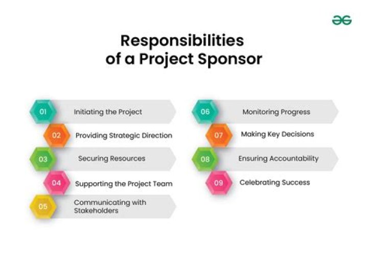 Why is the project sponsor critical to the success of a project