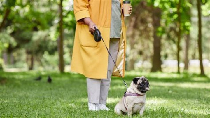 Why retractable leashes are dangerous