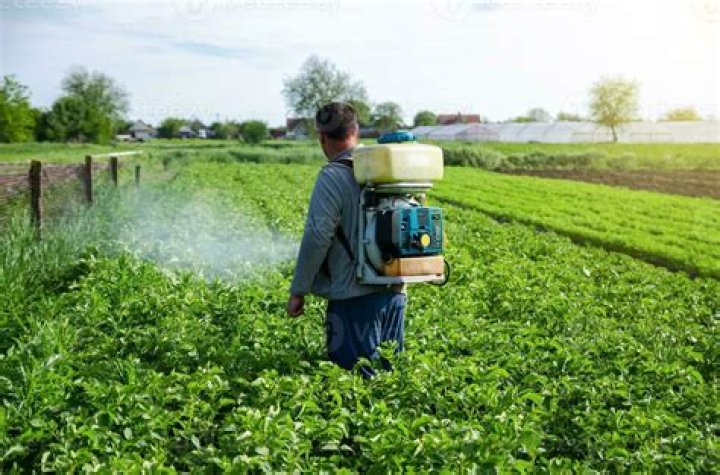 Why should farmers use pesticides