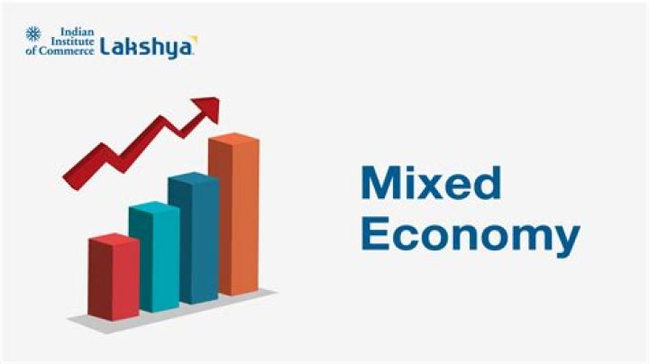 Why South Africa is considered a mixed economy