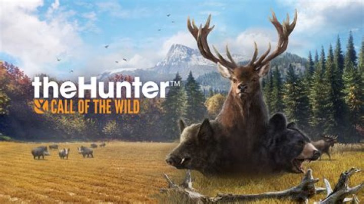 Why was Buck sold in the call of the wild