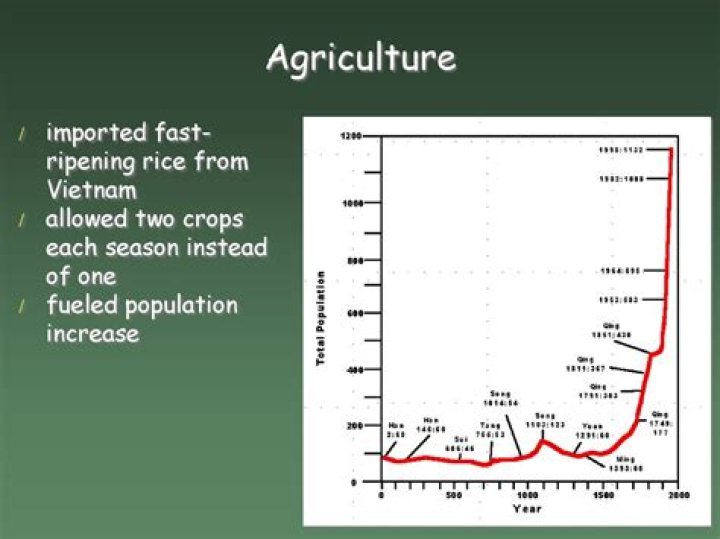 Why was fast ripening rice so important to the Chinese