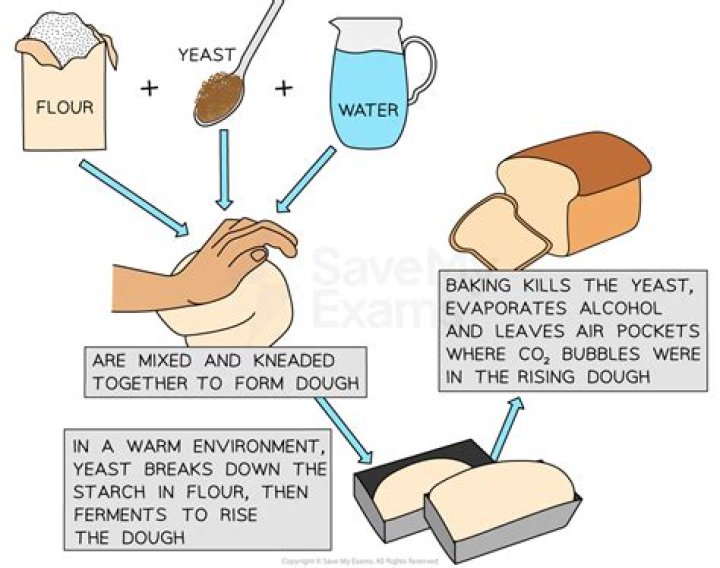 Why was flour created