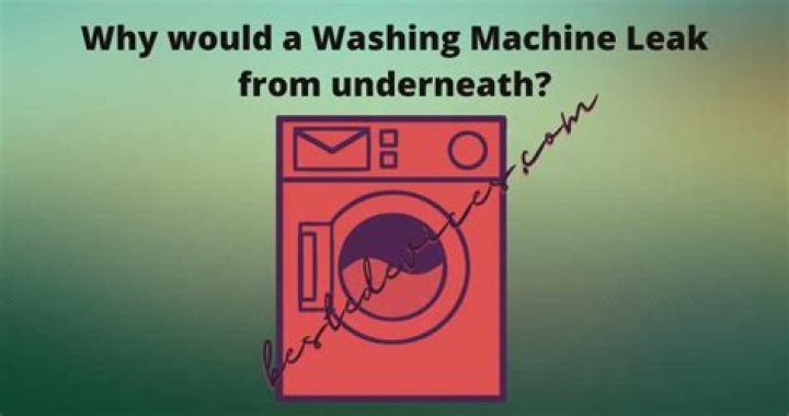 Why would a washing machine leak