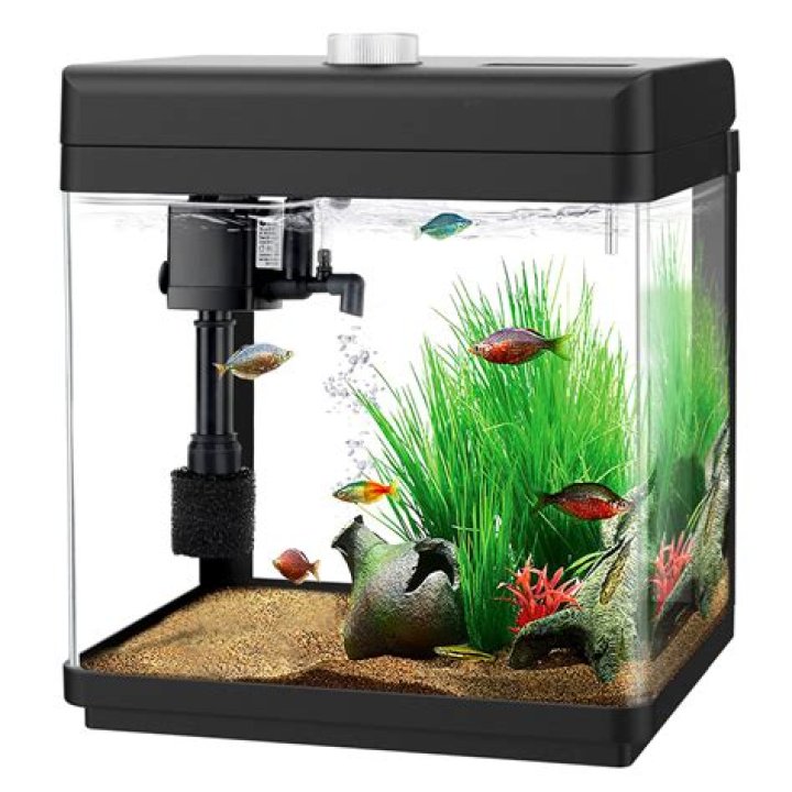 Will aquarium lights work to grow plants