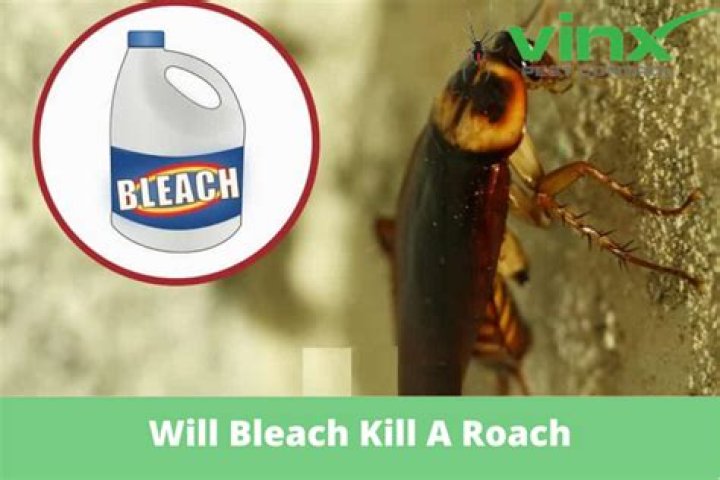 Will bleach kill Briars