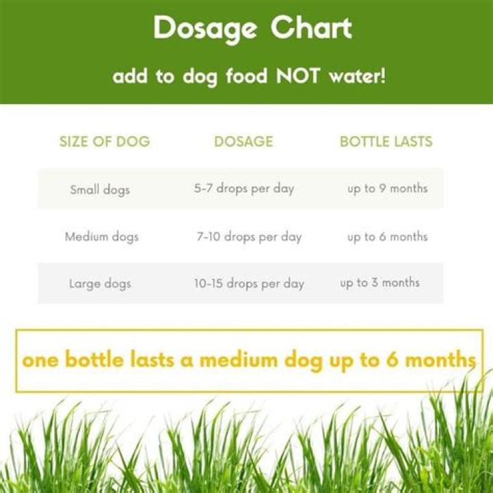 Will dog urine kill new sod