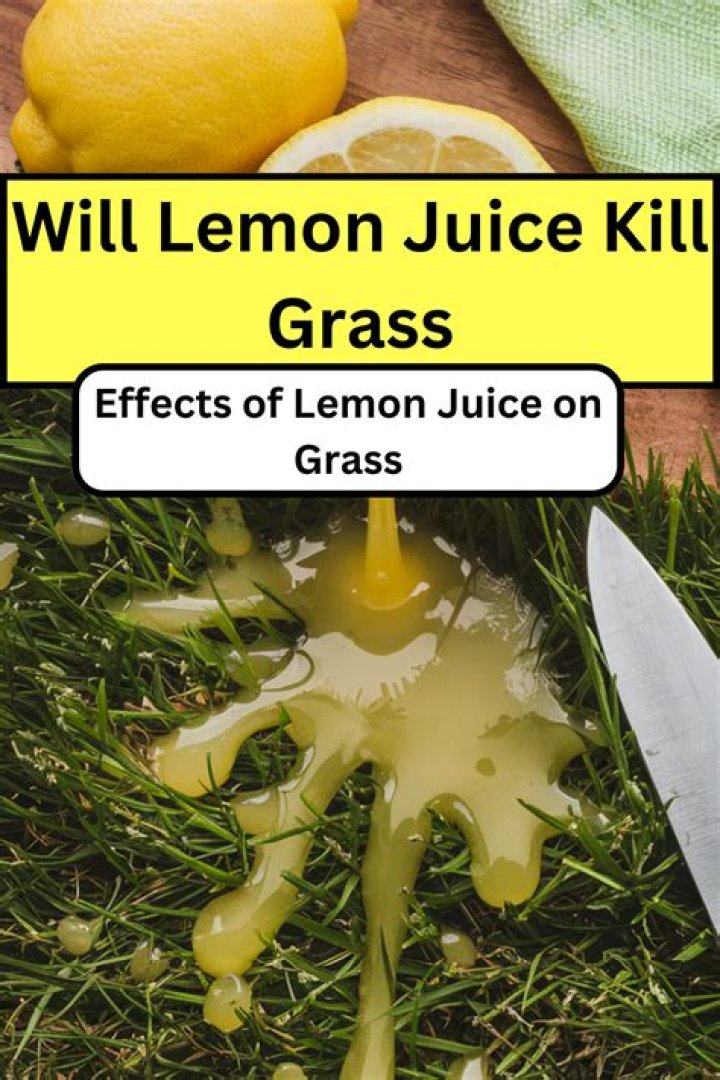 Will lemon juice kill fleas