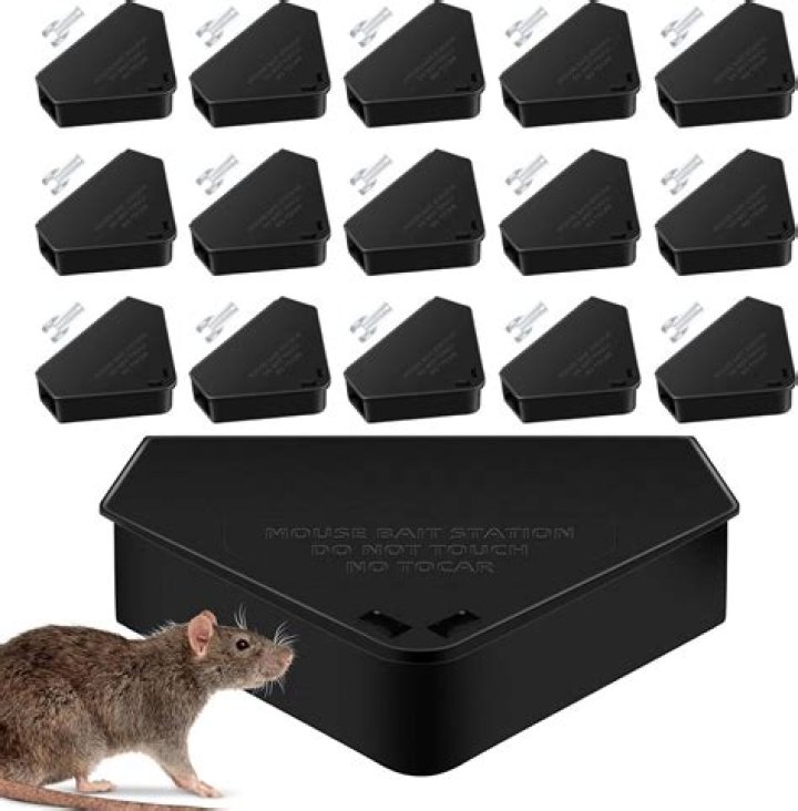 Will mice bait attract more mice