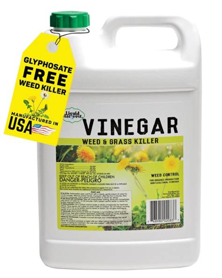 Will salt and vinegar kill grass
