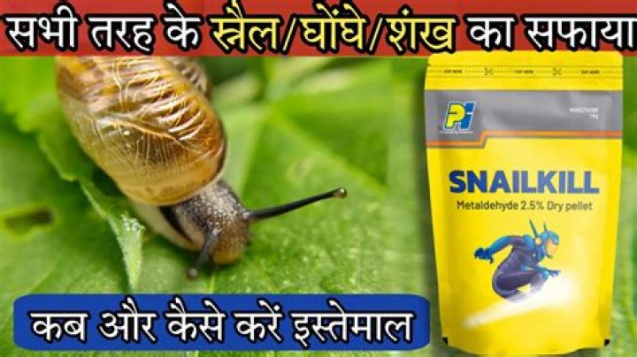 Will snail bait kill plants