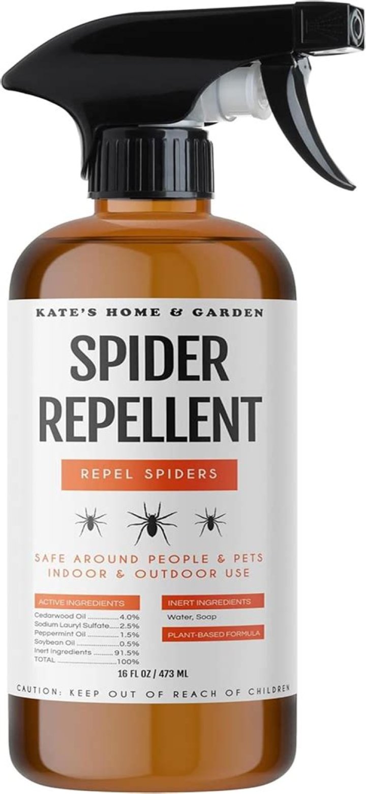 Will the bug a salt kill spiders