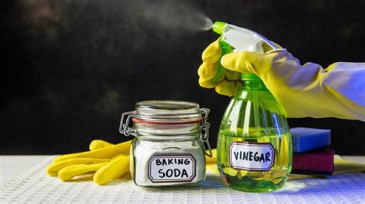 Will vinegar clean a well point screen